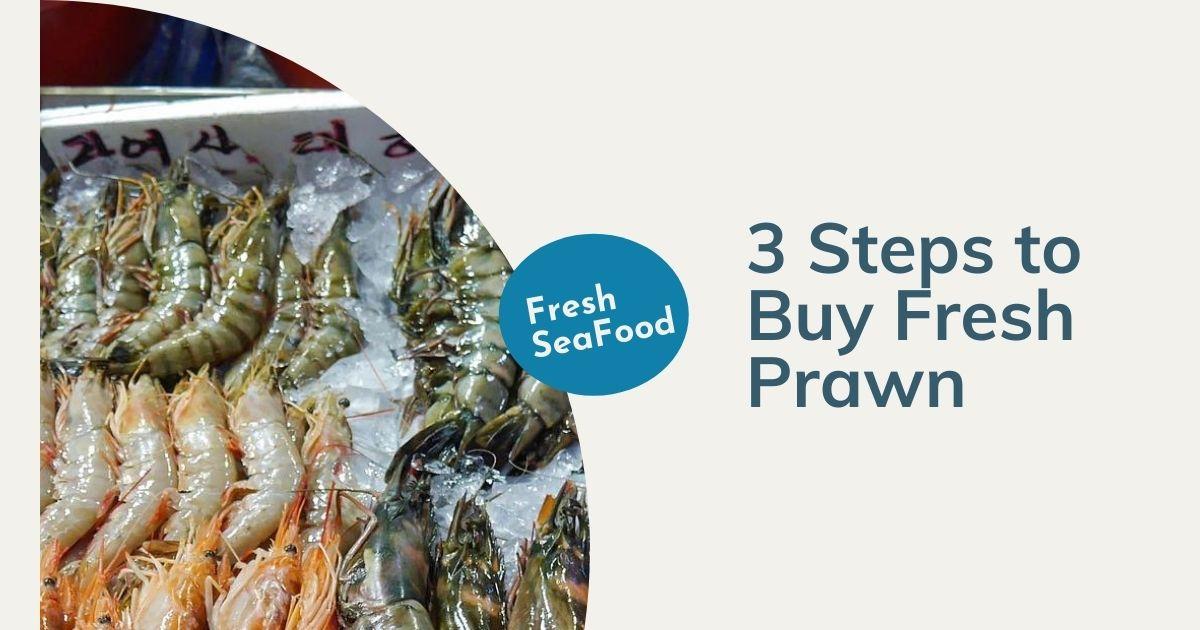 How to buy Fresh Prawn in 3 steps?