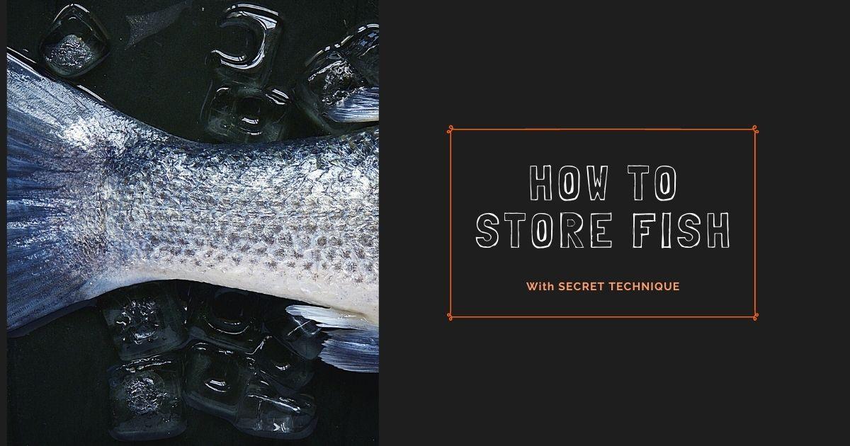 How to store fresh fish to keep it fresh !