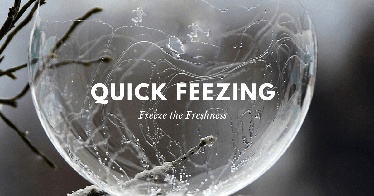 What is Quick Freezing/ Flash Freezing? IQF? What is that?