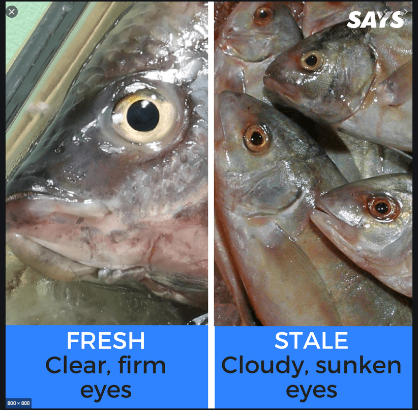 Fish Freshness Eyes Comparison